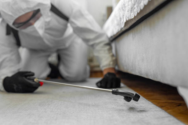 Professional Bed Bug Control technician working in Van Zandt County County, TX